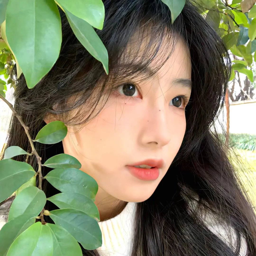 玉氏夫人传